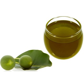 DẦU MÙ Ù XANH (100ML)