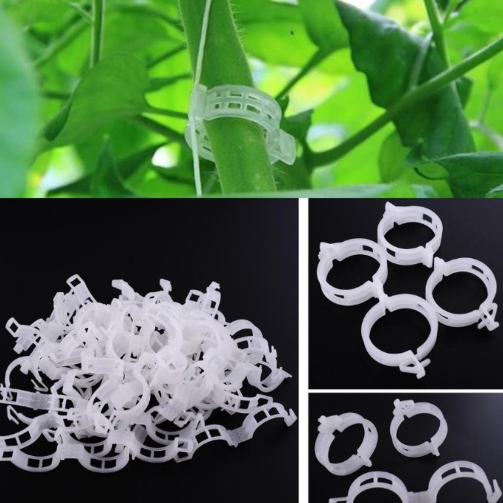Bộ 50 kẹp cố định cây dây leo tiện lợi