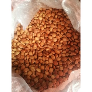 Hạt Sachi rang giòn hộp 500gr