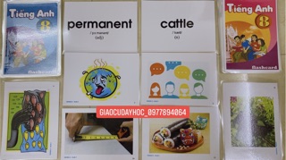 FLASHCARD TIẾNG ANH LỚP 8- kì1,2 (ép plastics)