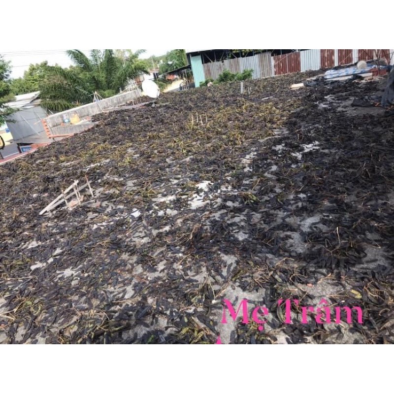 Bồ kết khô