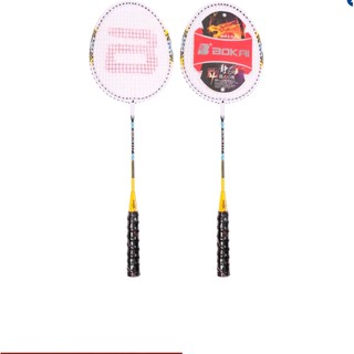 Vợt cầu lông Sportslink SL117