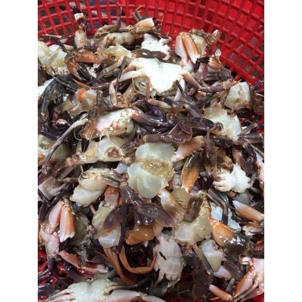 1kg cua biển xay sẵn tiện lợi