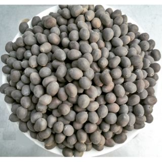 Hạt sen khô còn vỏ