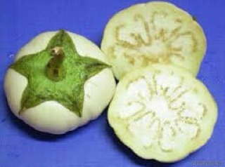 Hạt giống cà dĩa bạch tuyết