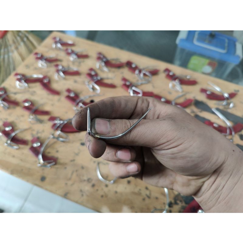 Cựa Gà Nòi Lai Óng - Đủ Size