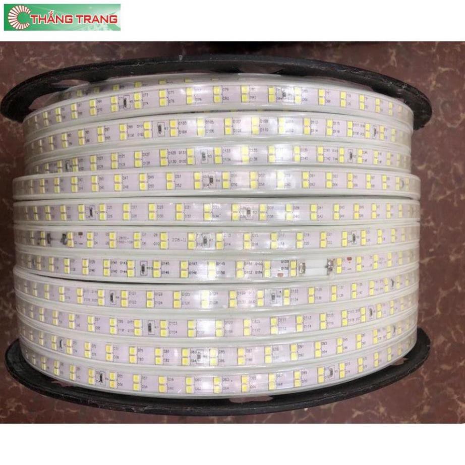 Đèn Led dây đôi 2835 , ống nhựa 220V 10m trở lên Tặng Nguồn