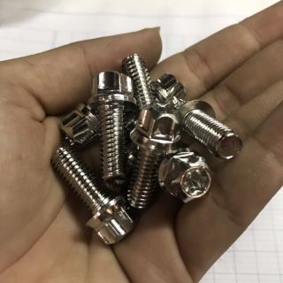 Ốc đĩa bông mai