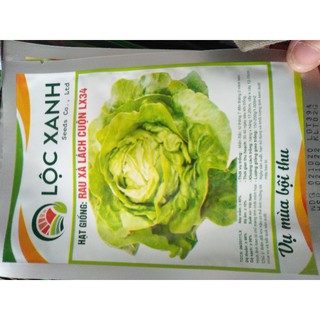 Hạt giống rau diếp cuộn