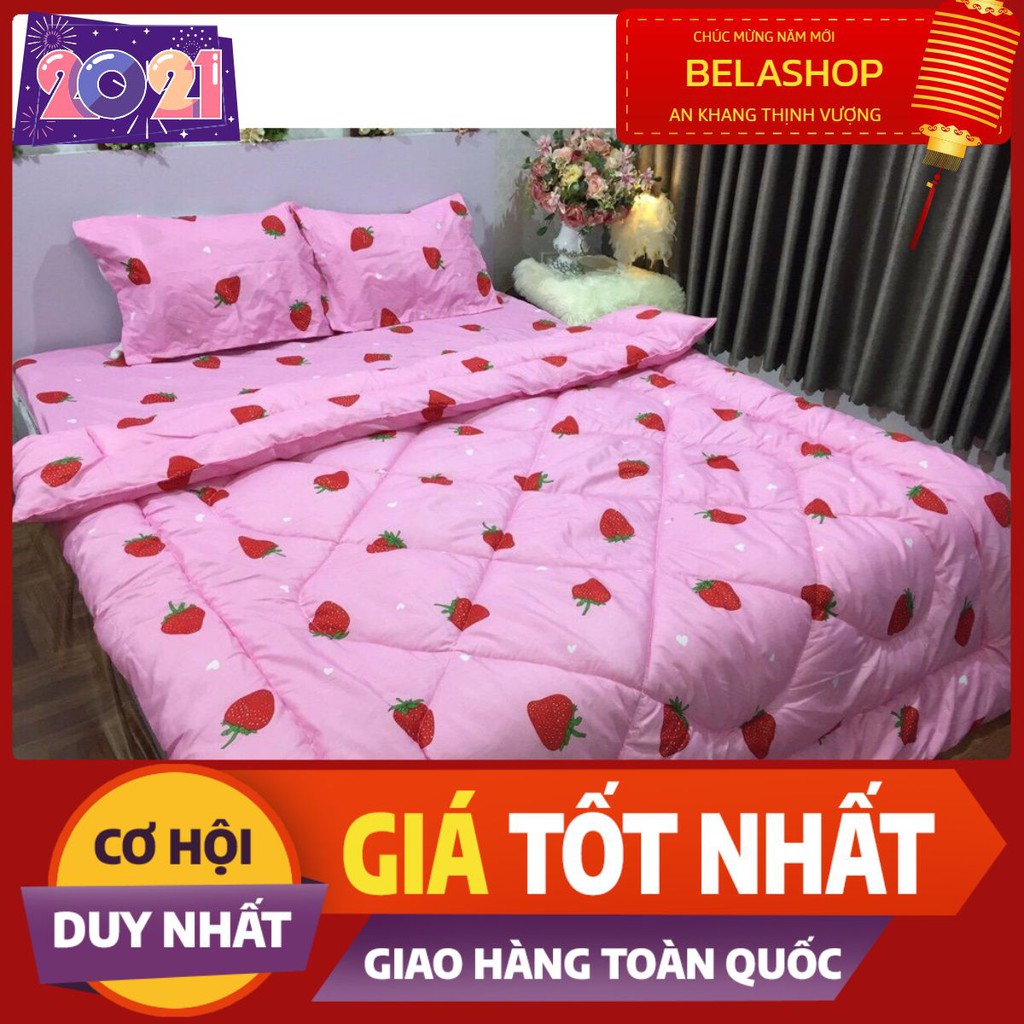 BỘ DRAP M6 MẪU DÂU TÂY HỒNG