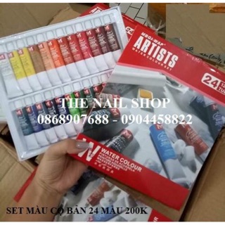 Set màu vẽ cọ bản - 24 màu