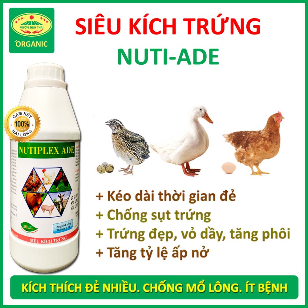Siêu kích trứng dùng cho gà, vịt, cút đẻ NUTI-ADE