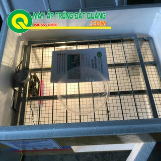Máy ấp trứng gà mini combo tự động