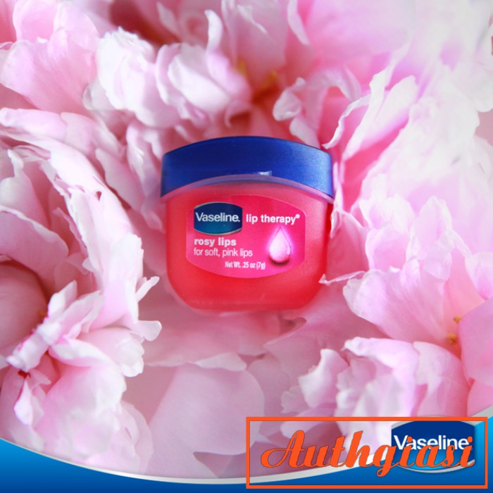 Dưỡng môi Vaseline mềm mịn chống khô nứt và thâm môi dạng hũ và thỏi | Thế Giới Skin Care