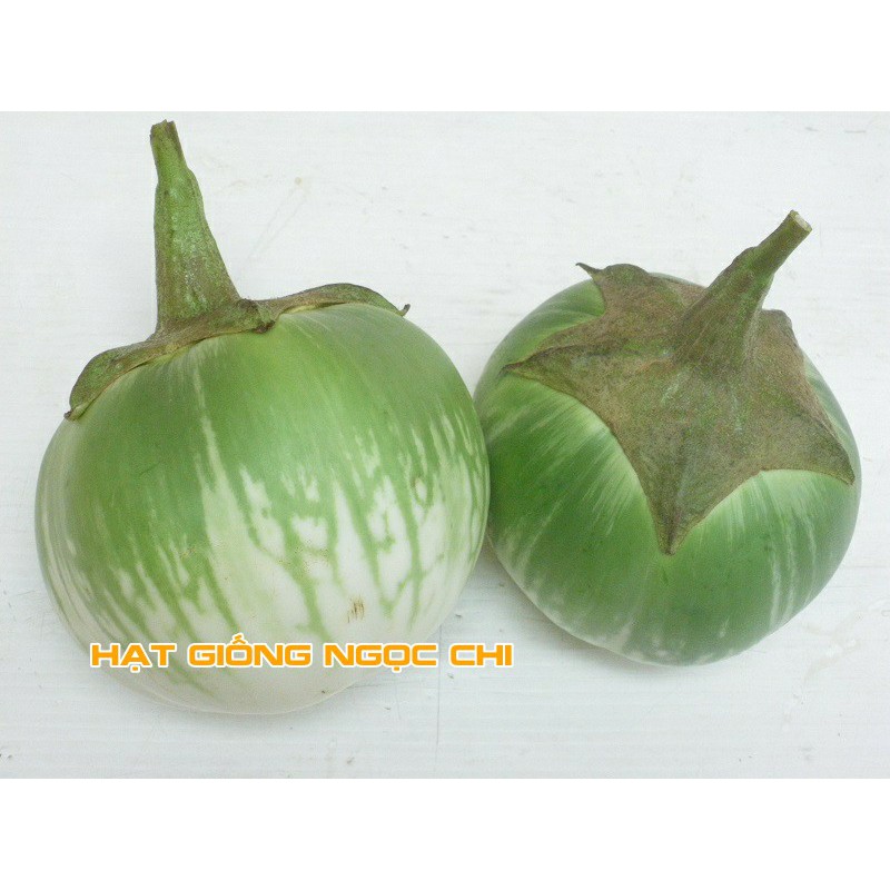 Hạt Giống Cà Bát Xanh (Da Ếch) - 1Gr