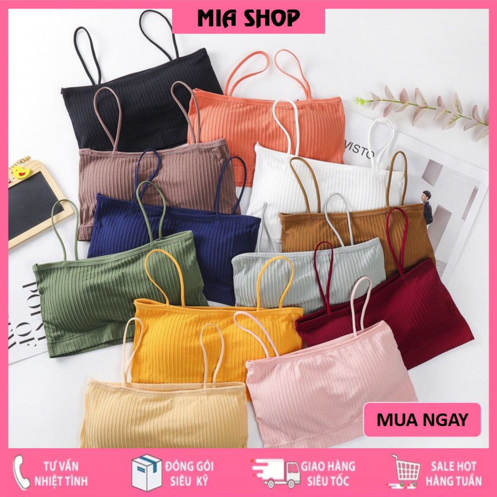 Áo Bra 2 Dây - Áo Lót Không Gọng - Bra Nữ Cotton Gân Tăm Có Mút 809