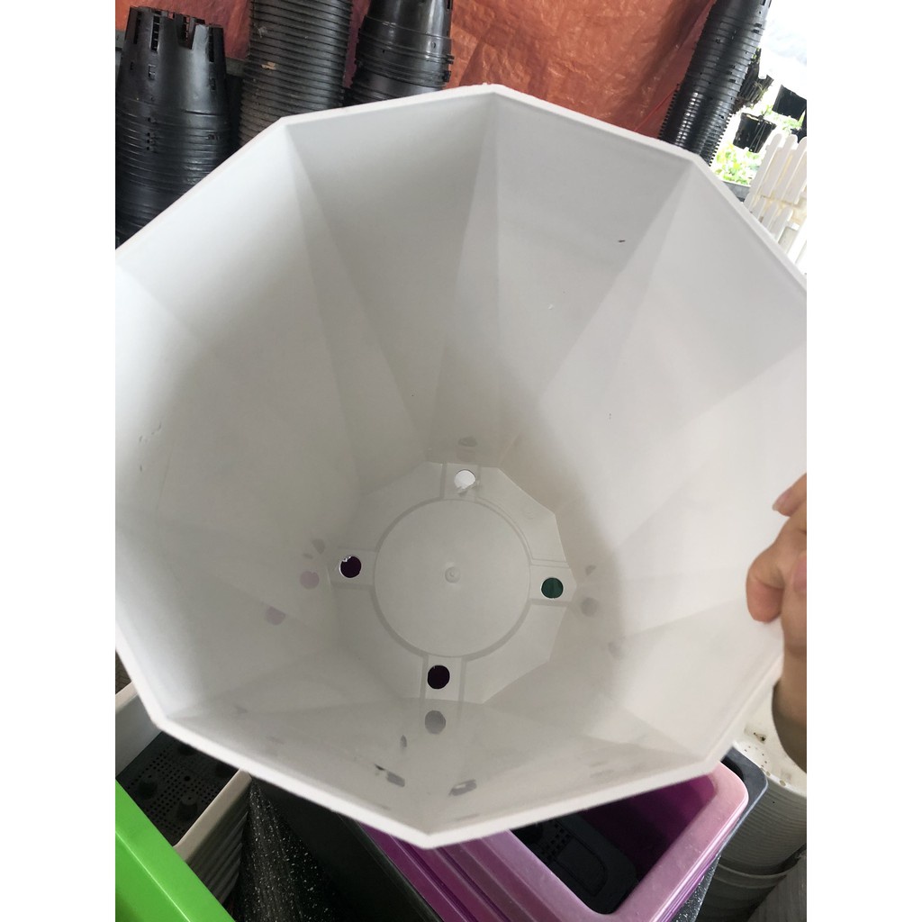 Combo 10 chậu kim cương đường kính 30 cao 40cm