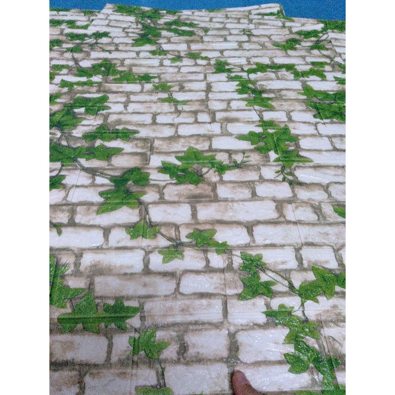 XỐP dán tường dây leo, lích thước 70*70cm, dày 3 li | BigBuy360 - bigbuy360.vn