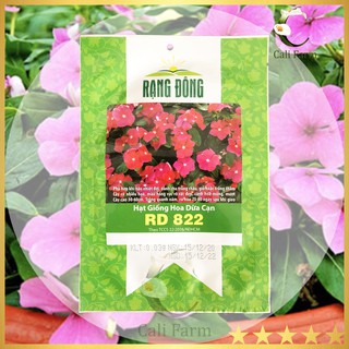 Hạt giống Hoa Dừa Cạn Hồng RD 822 (0.1gr)