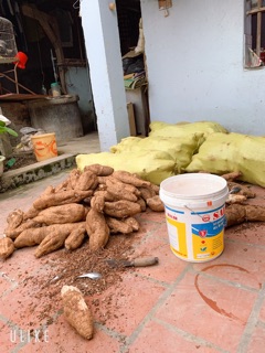BỘT SẮN DÂY 1kg nhà làm