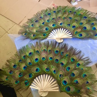 Quạt Lông Công Phong Thuỷ