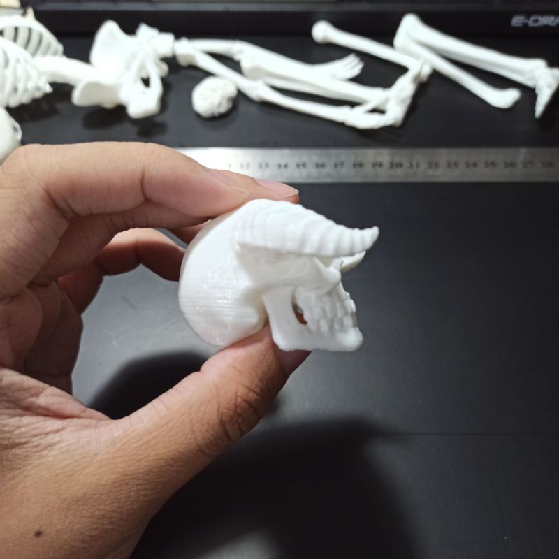 Mô hình đầu lâu quỷ 2 sừng trâu cao 38mm, tỉ lệ 1:6, trang trí tiểu cảnh, kinh dị, halloween, chuồng bò sát