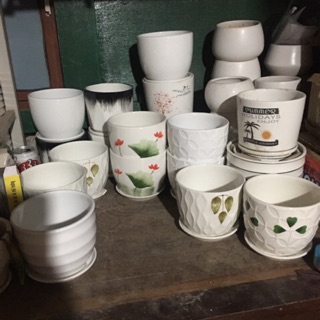 Chậu sứ sz 14-15cm có đĩa hứng