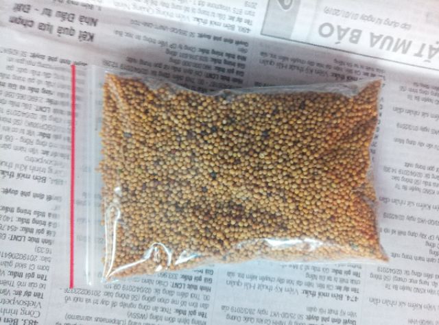 100gr Yellow mustard seeds/ Hạt mù tạt vàng