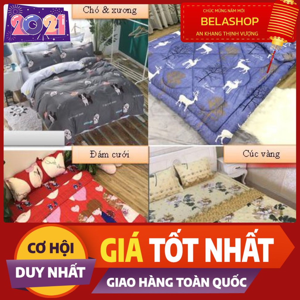 Bộ ga gối Drap 1m6 Cotton Poly Vikona mẫu A0006