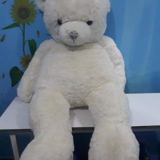 Gấu bông siêu to siêu đẹp. Làm quà 8/3 Gấu bông siêu to siêu đẹp. Làm quà 8/Gấu bông siêu to siêu đẹp. Làm quà 8/3 .....