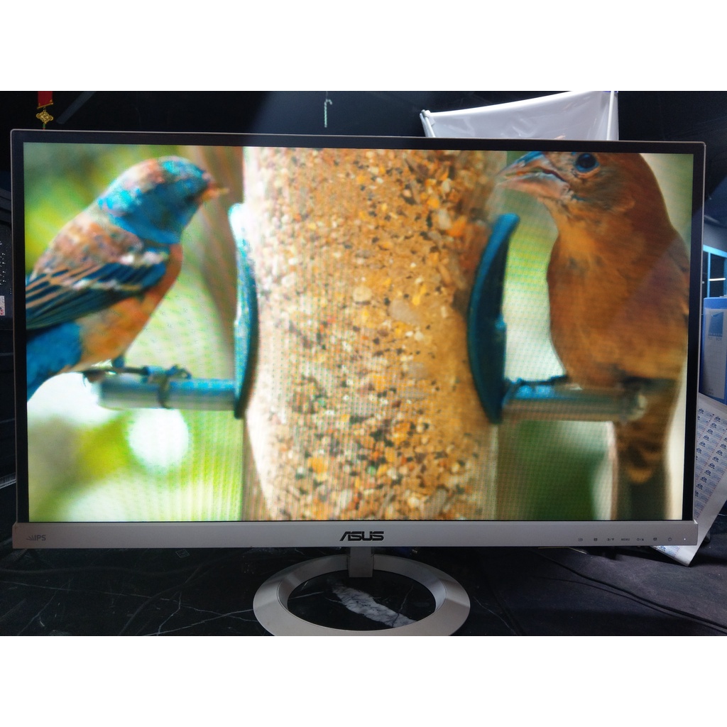 Màn hình asus vx279 cũ đẹp | BigBuy360 - bigbuy360.vn