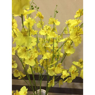 Hoa lan vũ nữ lụa