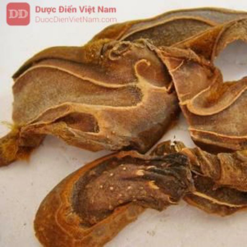 Cẩu Tích cây lông Culi Hàng chất lượng chuẩn loại 1 khô, sạch