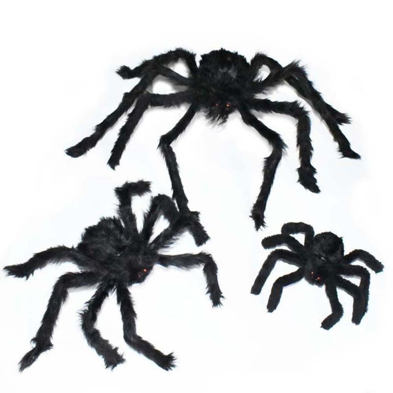 Nhện lông khổng lồ, mạng nhện...trang trí Halloween