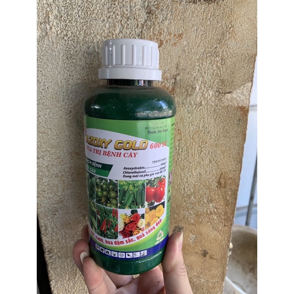 AZOXY GOLD 600SC Trừ Phấn Trắng, Rỉ Sắt, Thán Thư, Vàng Lá, Đốm Lá, Đen Thân, Khô Cành. Nấm Sung,