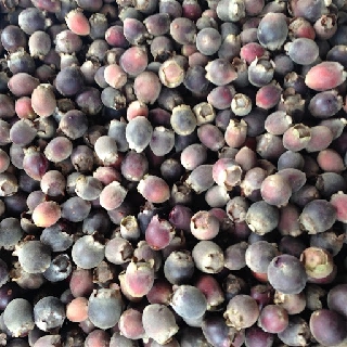 1 BỊCH SIM RỪNG KHÔ, HÀNG SẠCH CHỌN LOẠI 1, CAM KẾT CHẤT LƯỢNG