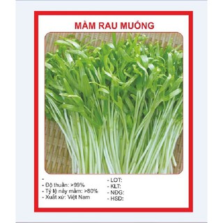 Hạt Giống Mầm Rau Muống (50gram/gói )