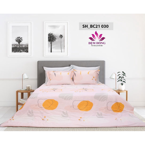 Chăn ga gối Sông Hồng Basic 100% cotton 2021-2022