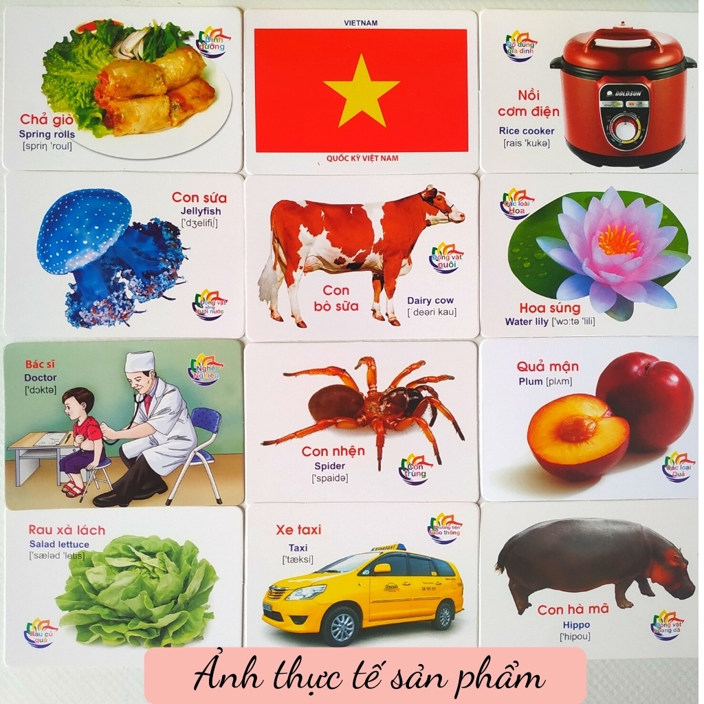 Thẻ học thông minh cho bé 16 chủ đề