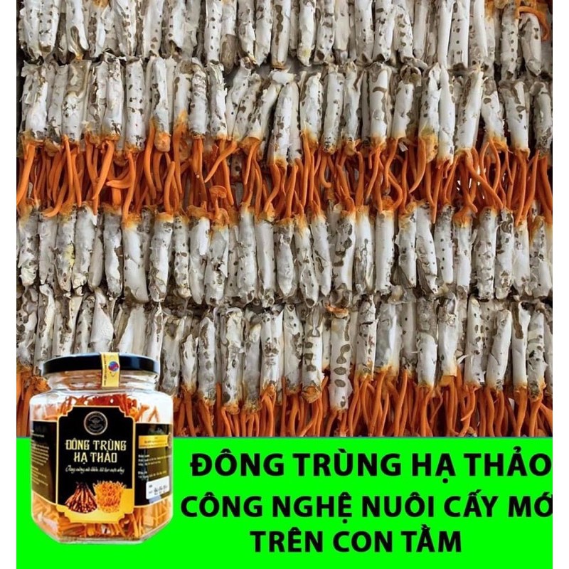 Đông trùng hạ thảo - Viện Hàn lâm KHCNVN. đang dc hỗ trợ giá