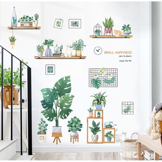 Decal dán tường Chậu cây xanh và kệ gỗ trang trí