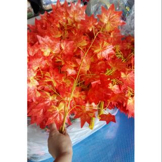 50 cành lá phong đỏ giá sỉ loại 25 lá