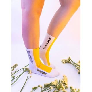 Socks SS2 / Vàng Trắng