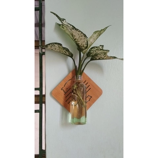 COMBO 6 MIẾNG LÓT GỖ THÔNG MINH ĐA NĂNG.