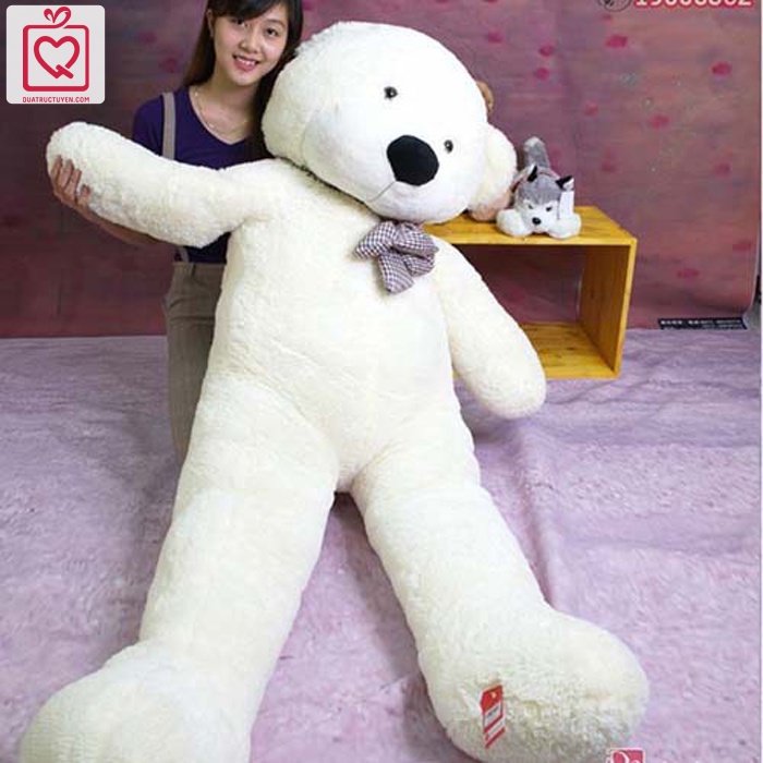 Gấu bông 1m8 khổng lồ Teddy Boyds