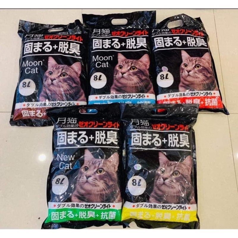 Cát Nhật Đen Moon Cat