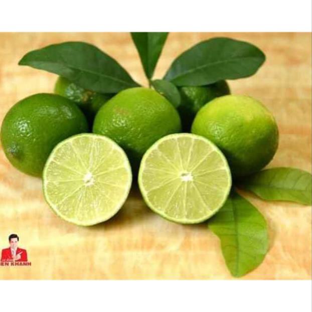 [Xả - Cắt Lỗ ] Chanh Không Hạt