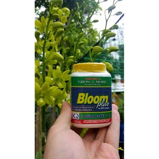 Phân bón lá growmore 10-60-10