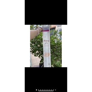 Túi giấy bánh mì baguette -100 cái