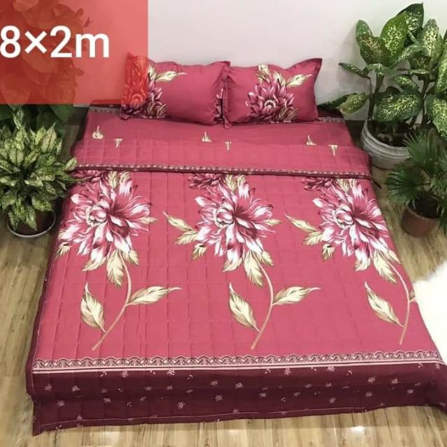 chăn  hè trần bông  ba lớp  poly cotton